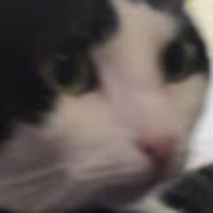 Meet your Posher, Dylan